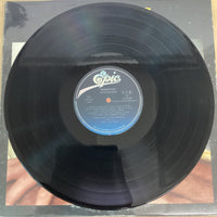 แผ่นเสียง Julio Iglesias - Momentos Vinyl VG+