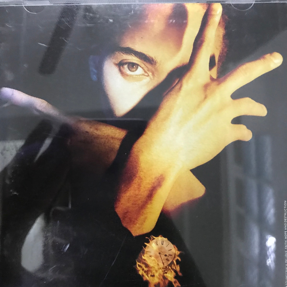 ซีดี Terence Trent D'Arby - Terence Trent D'Arby's Neither Fish Nor Flesh: A Soundtrack Of Love, Faith, Hope, And Destruction CD VG+