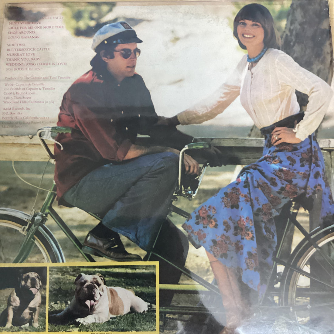 แผ่นเสียง Captain And Tennille - Song Of Joy Vinyl VG+