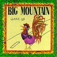 Big Mountain - Wake Up CD VG+
