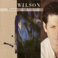 Brian Wilson - Brian Wilson CD NM or M-