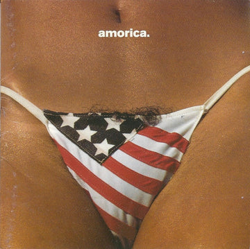 The Black Crowes : Amorica. (CD, Album)