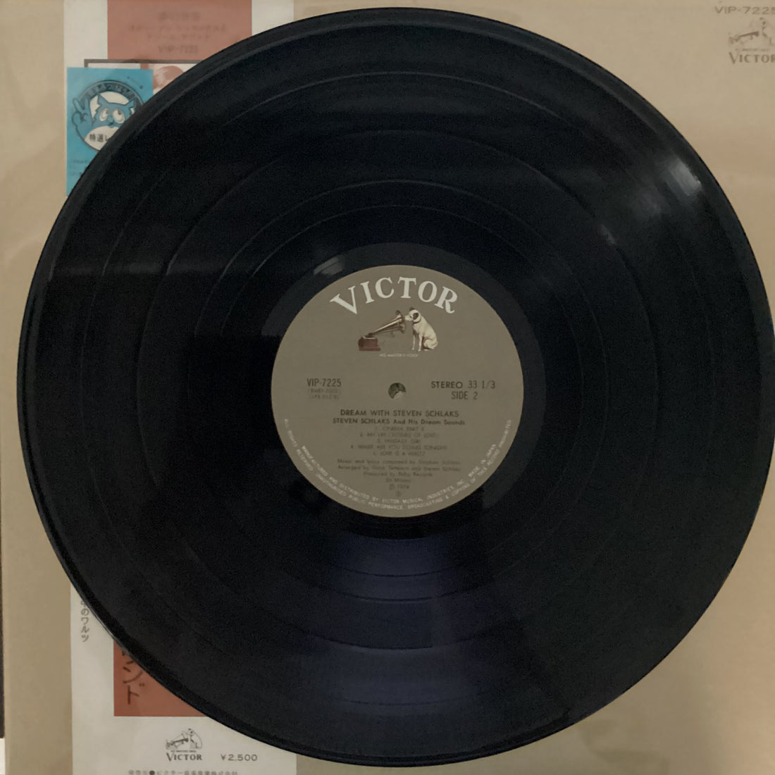 แผ่นเสียง Stephen Schlaks - Dream With Schlaks Stephen Vinyl VG+