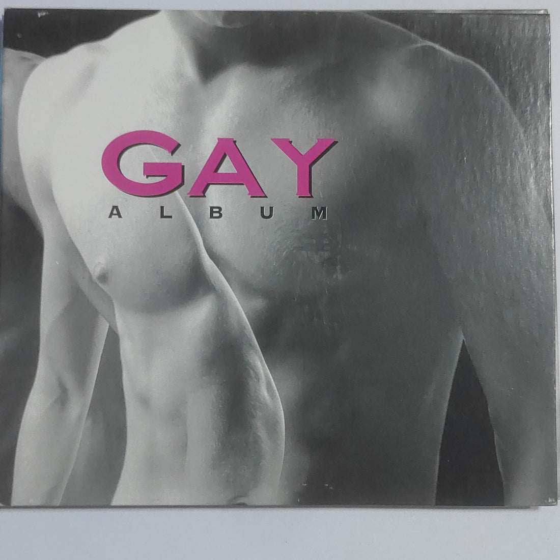 ซีดี Various - Gay Album CD VG