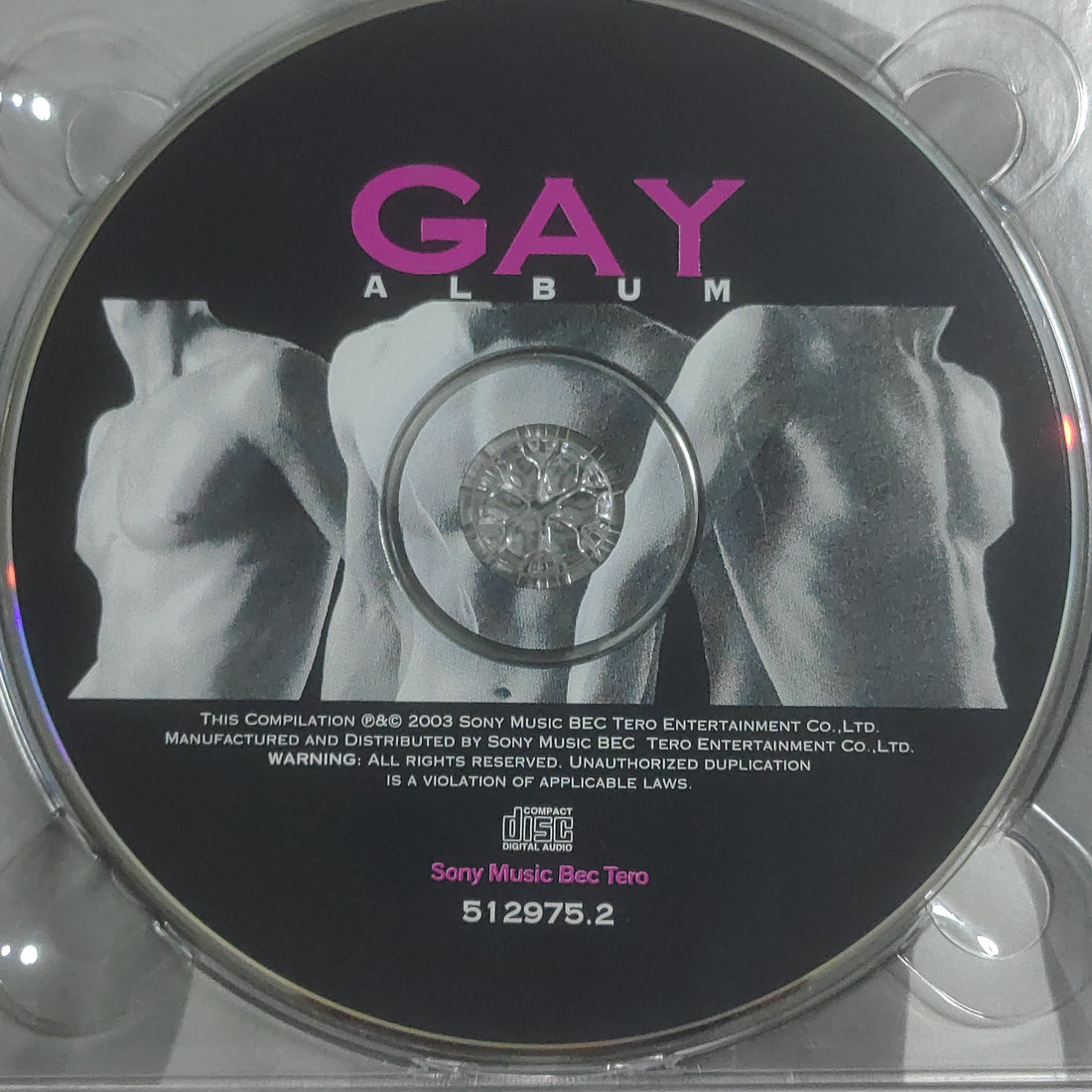 ซีดี Various - Gay Album  (CD) (VG)