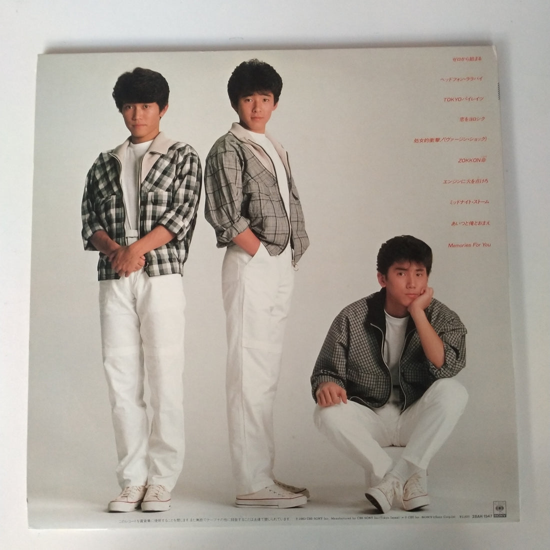 แผ่นเสียง Shibugakitai - 夏・Zokkon -Memories For You- (Vinyl) (VG+)