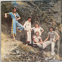แผ่นเสียง Bay City Rollers - Dedication Vinyl VG+