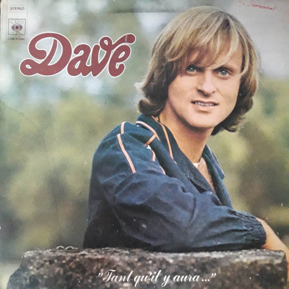 แผ่นเสียง Dave - Tant Qu'il Y Aura... Vinyl G