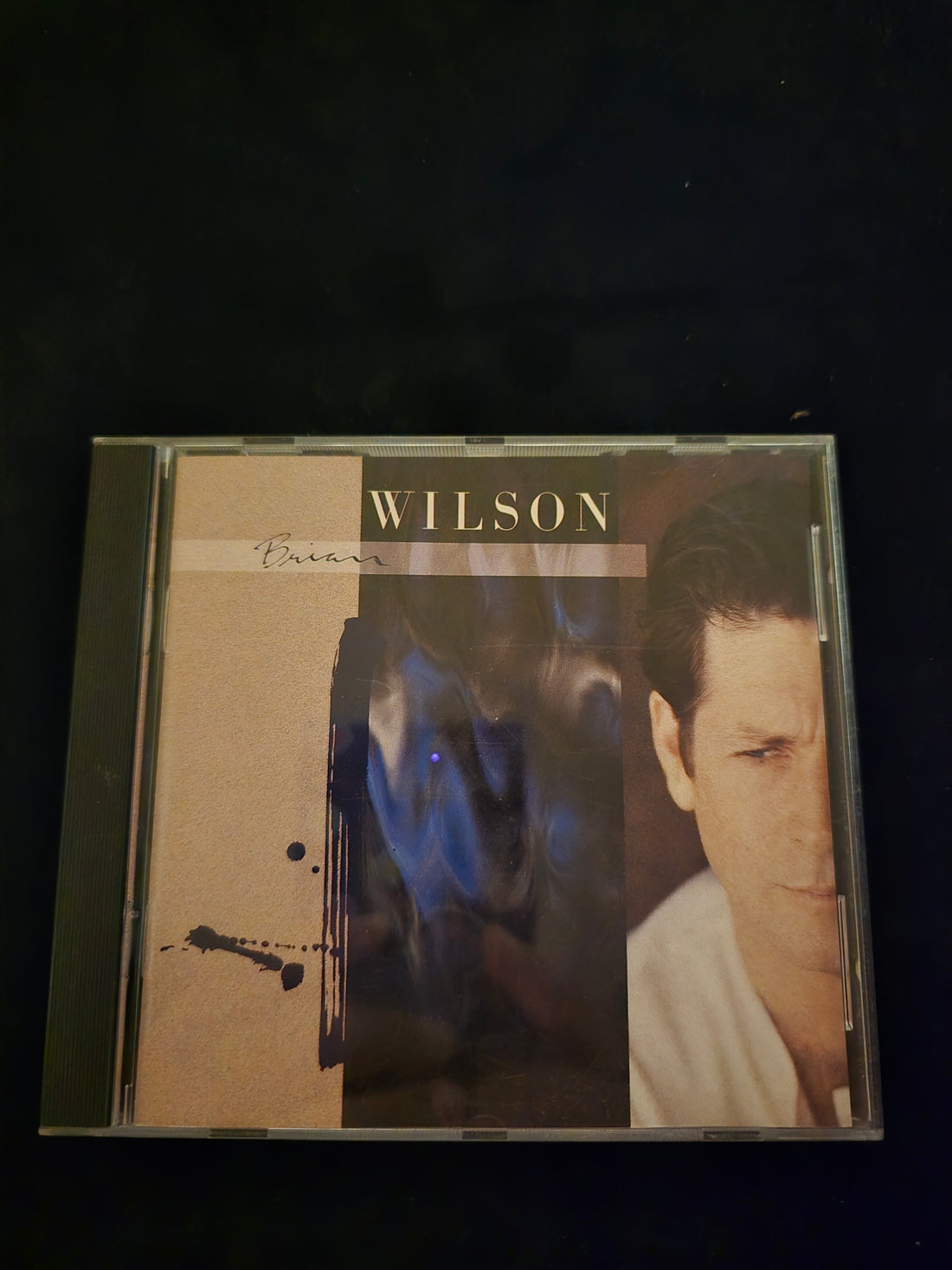 Brian Wilson - Brian Wilson CD NM or M-