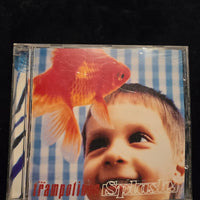 ซีดี The Trampolines - Splash CD NM or M-