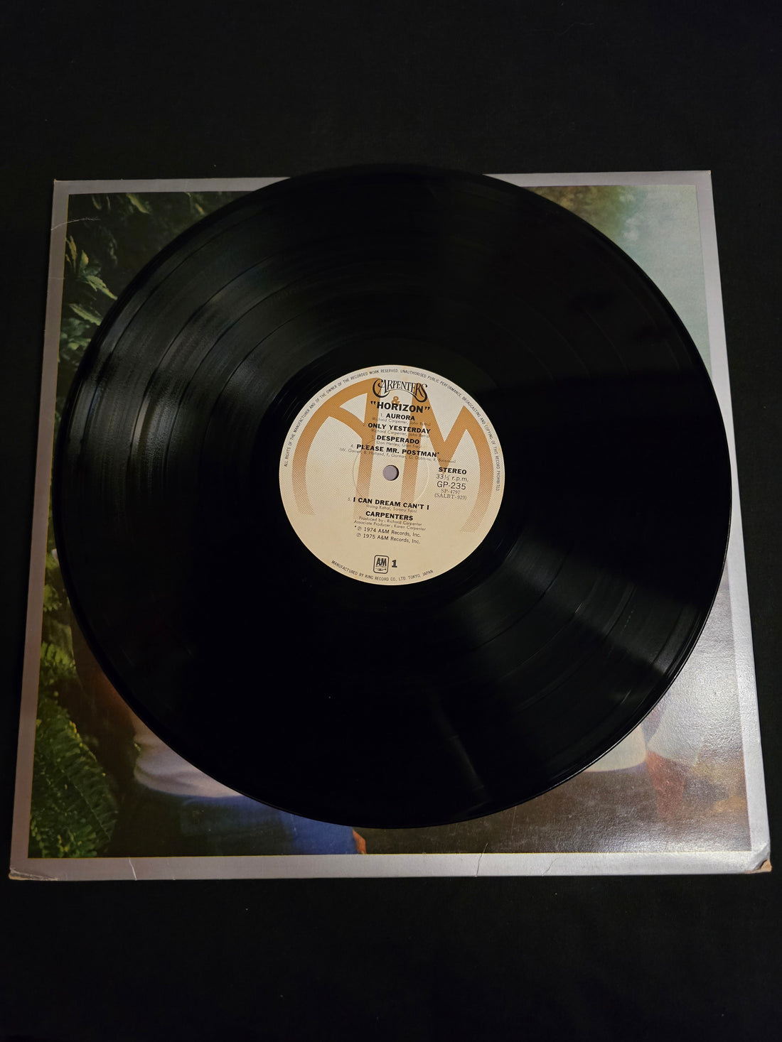 แผ่นเสียง Carpenters - Horizon Vinyl VG+