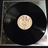 แผ่นเสียง Carpenters - Horizon Vinyl VG+