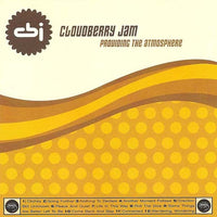 Cloudberry Jam : Providing The Atmosphere (CD, Album)