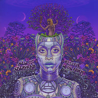 Erykah Badu - New Amerykah Part Two: Return Of The Ankh CD VG+