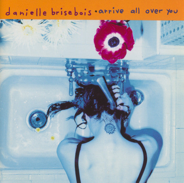 Danielle Brisebois : Arrive All Over You (CD, Album)