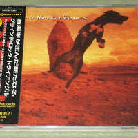 Black Market Flowers - Bind CD VG+