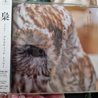 Plastic Tree : 梟 - ふクロウ - (Limited Edition Type.B)  (CD-ROM, Maxi, Ltd + DVD-V, Maxi, Ltd)