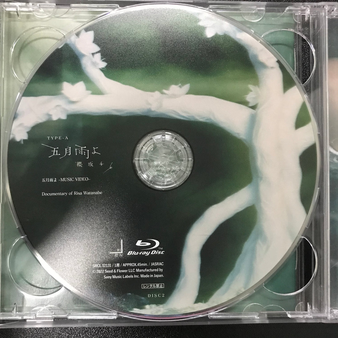 ซีดี 櫻坂46 - 五月雨よ CD VG+