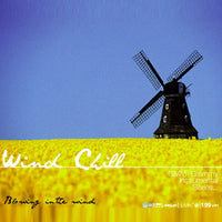 ซีดี Various - Wind Chill Blowing In The Wind CD NM