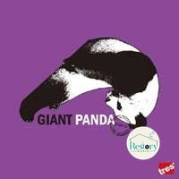 Giant Panda : With It (12")