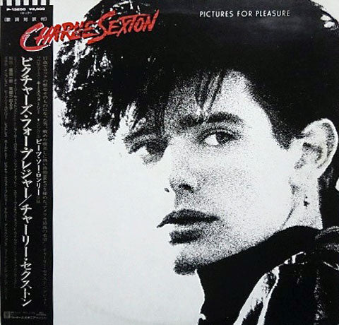 Charlie Sexton : Pictures For Pleasure (LP, Album)