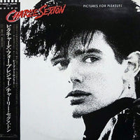 Charlie Sexton : Pictures For Pleasure (LP, Album)