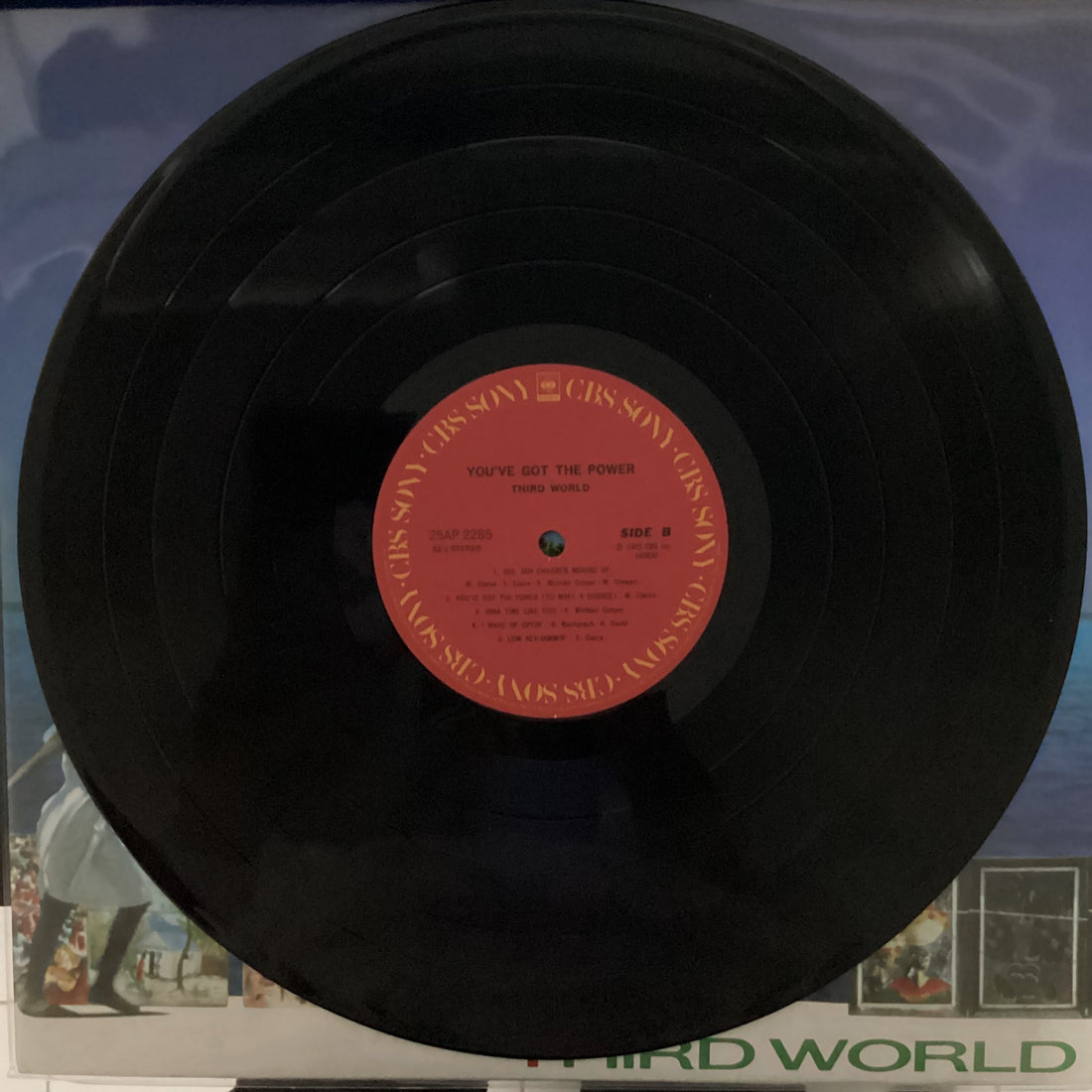 Third World = Third World - You've Got The Power = ラヴ・アイランド Vinyl VG+