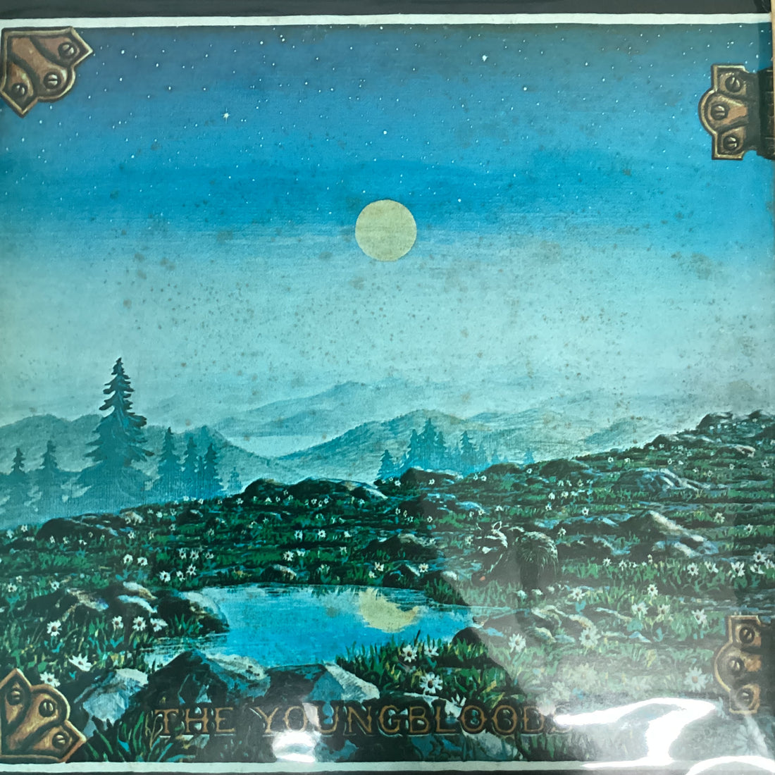 แผ่นเสียง The Youngbloods - High On A Ridge Top Vinyl VG+