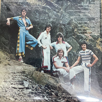 แผ่นเสียง Bay City Rollers - Dedication Vinyl VG+