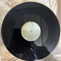 แผ่นเสียง Perry Blake - Genevieve The Pilot Of Your Thighs Vinyl VG+