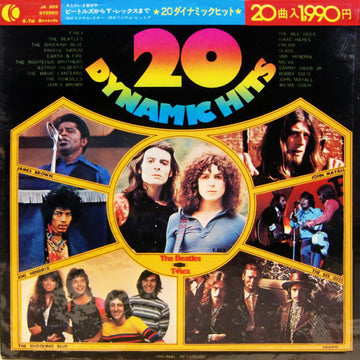 Various : 20 Dynamic Hits (LP, Comp)