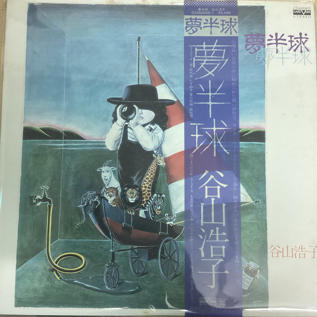 แผ่นเสียง Hiroko Taniyama - 夢半球 Vinyl VG+