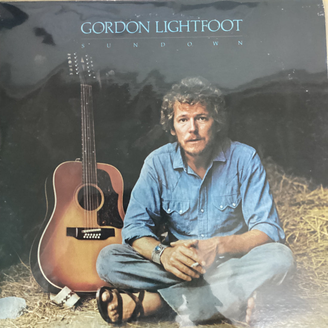 แผ่นเสียง Gordon Lightfoot - Sundown Vinyl VG+