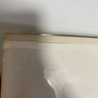 แผ่นเสียง Whitney Houston - Whitney Houston = そよ風の贈りもの Vinyl VG+