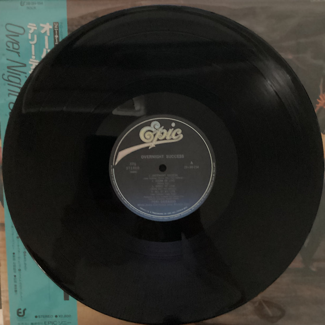 แผ่นเสียง Teri Desario With Joey Carbone & Richie Zito = Teri Desario ウィズ Joey Carbone & Richie Zito - Overnight Success = オーバーナイト・サクセス Vinyl VG+