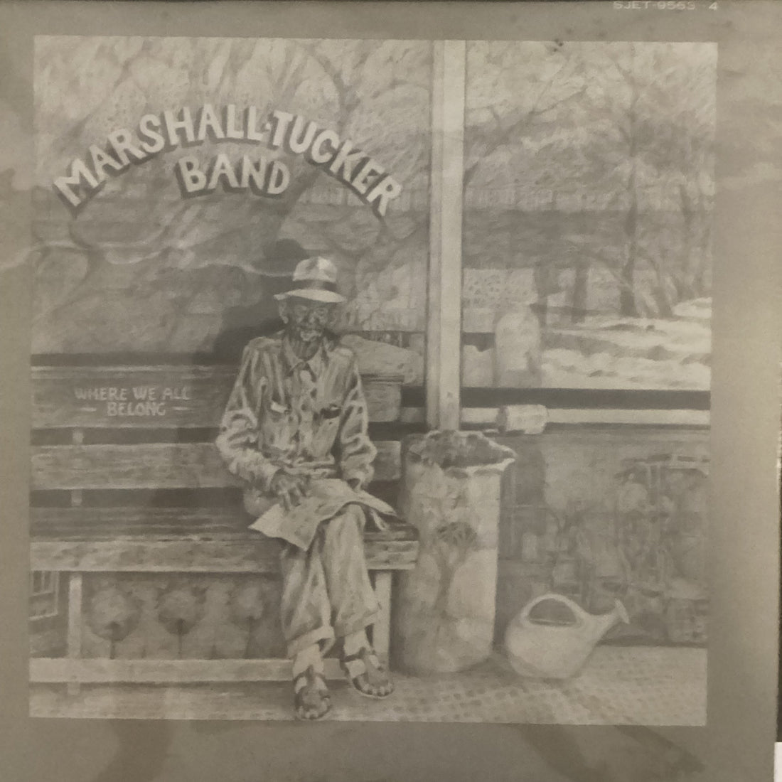 แผ่นเสียง The Marshall Tucker Band - Where We All Belong Vinyl VG+ 2LPs