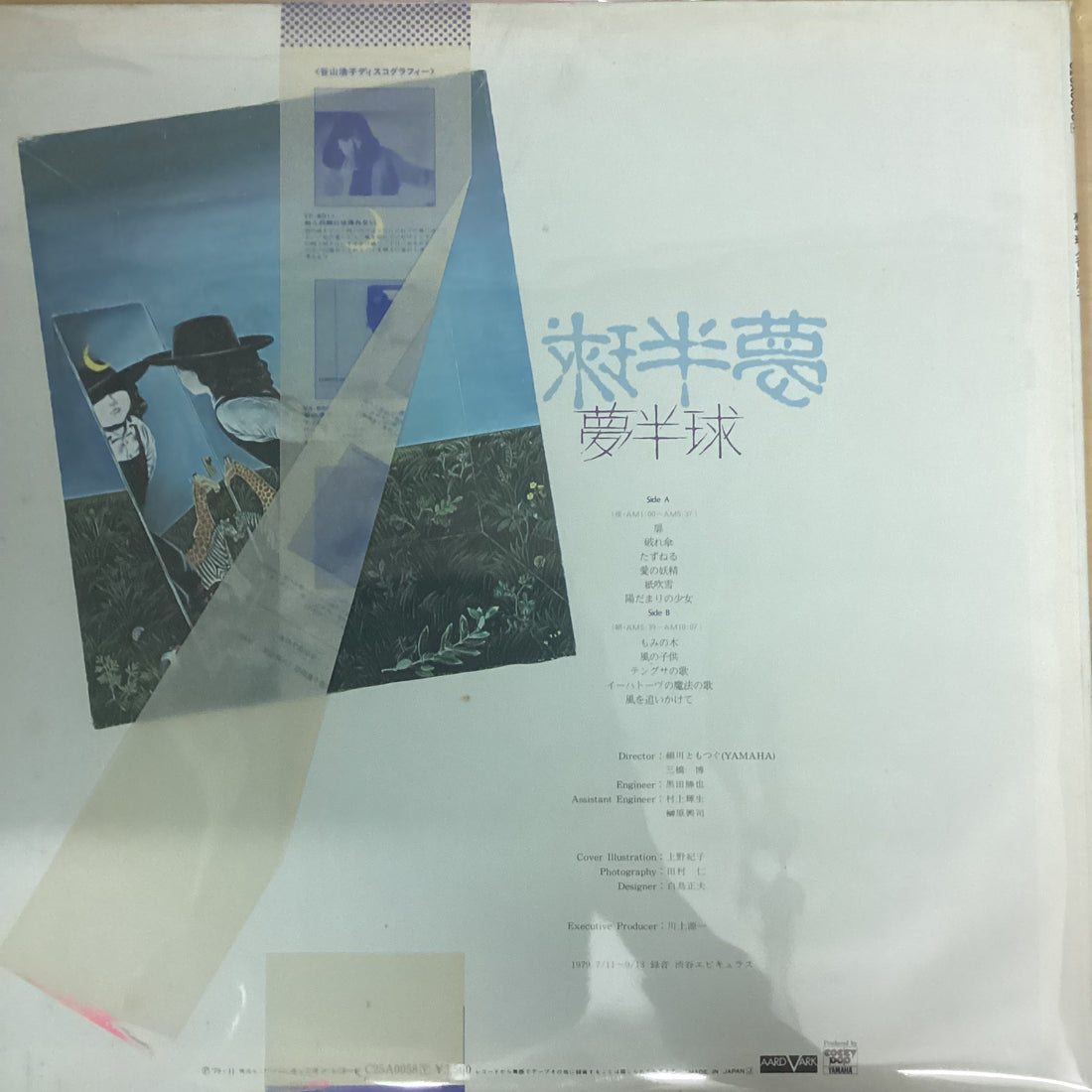 แผ่นเสียง Hiroko Taniyama - 夢半球 Vinyl VG+