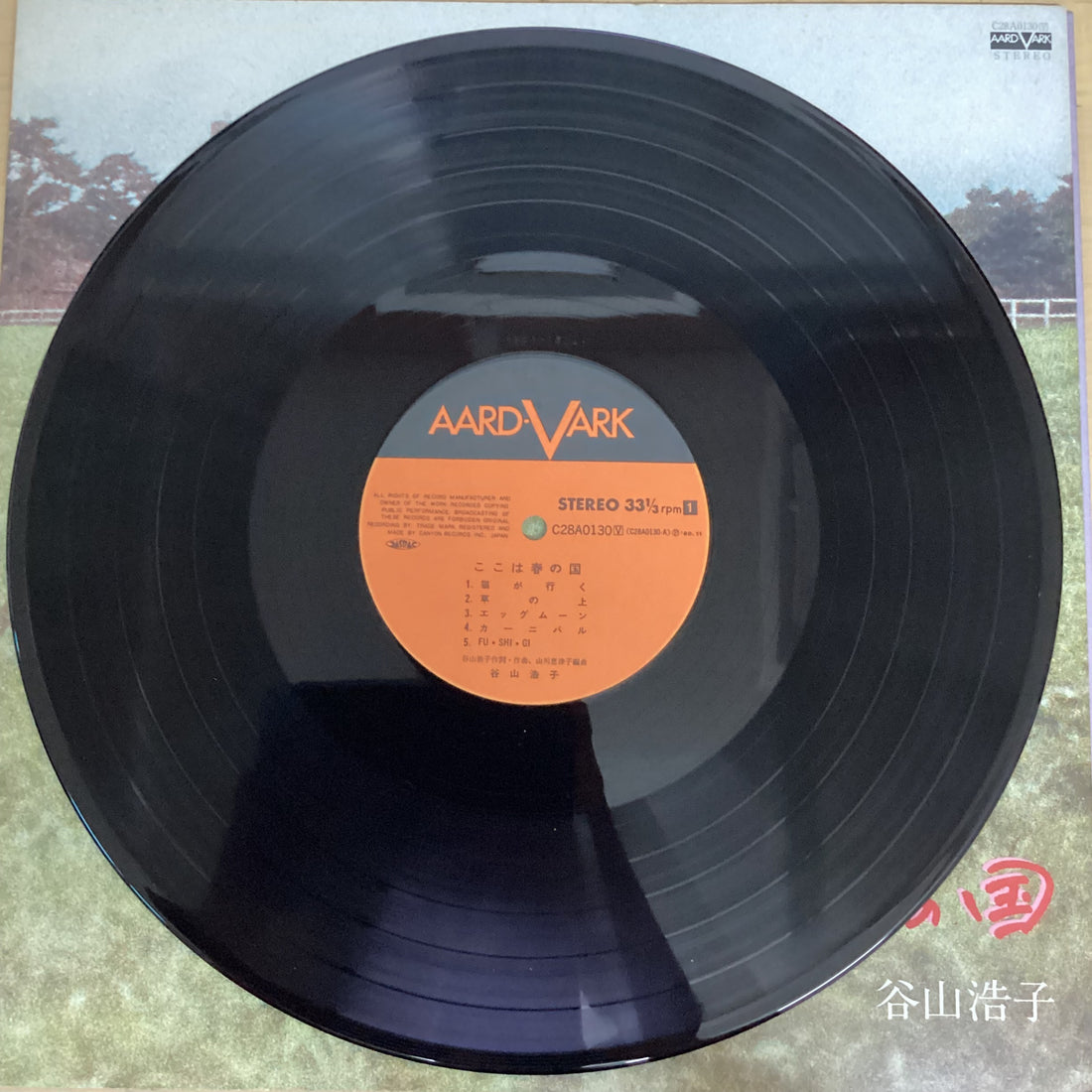 แผ่นเสียง Hiroko Taniyama - ここは春の国 Vinyl VG+