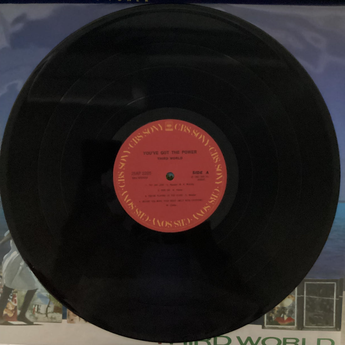 Third World = Third World - You've Got The Power = ラヴ・アイランド Vinyl VG+