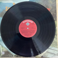 แผ่นเสียง Alfons Bauer - Das Goldene Zither-Album Mit Alfons Bauer Vinyl VG+ 2LPs