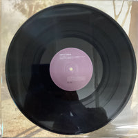 แผ่นเสียง Perry Blake - Genevieve The Pilot Of Your Thighs Vinyl VG+