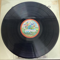 แผ่นเสียง Stefan Grossman & Ton Van Bergeijk - How To Play Ragtime Guitar Vinyl VG+