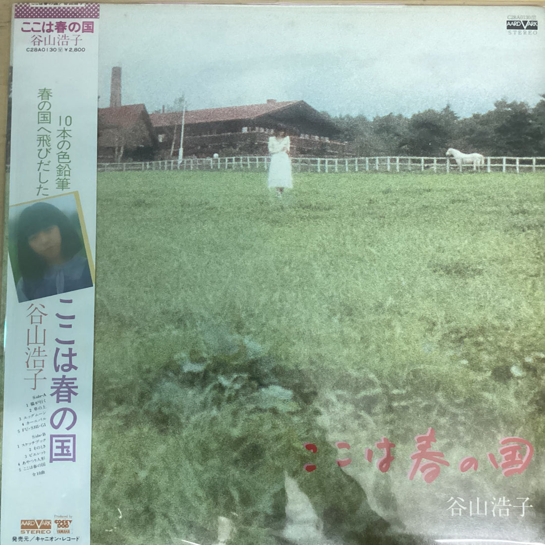 แผ่นเสียง Hiroko Taniyama - ここは春の国 Vinyl VG+