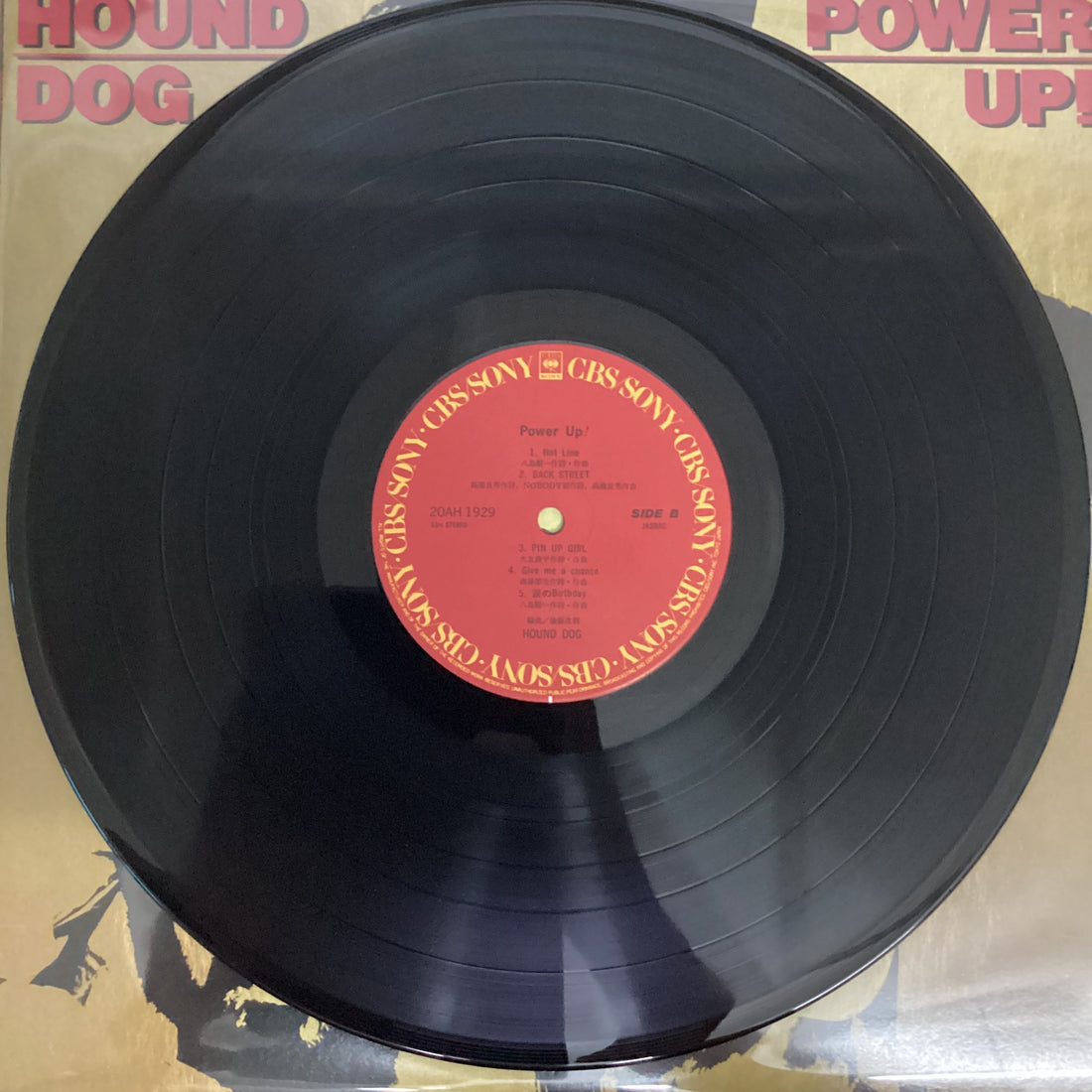 แผ่นเสียง Hound Dog - Power Up! Vinyl VG+