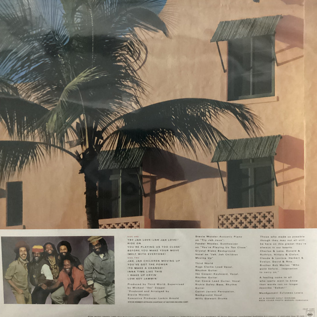 Third World = Third World - You've Got The Power = ラヴ・アイランド Vinyl VG+