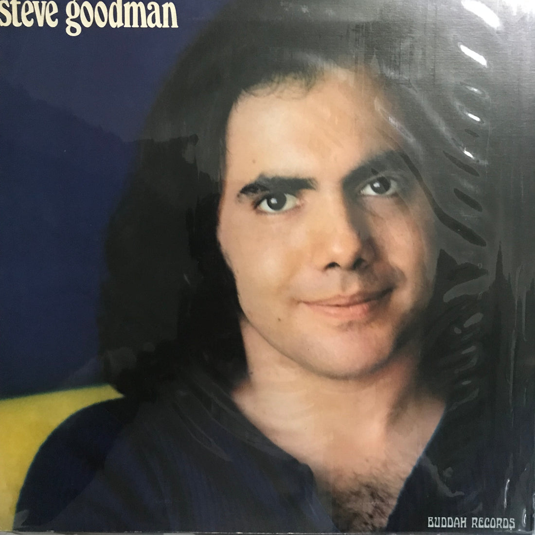 แผ่นเสียง Steve Goodman - Steve Goodman Vinyl VG+