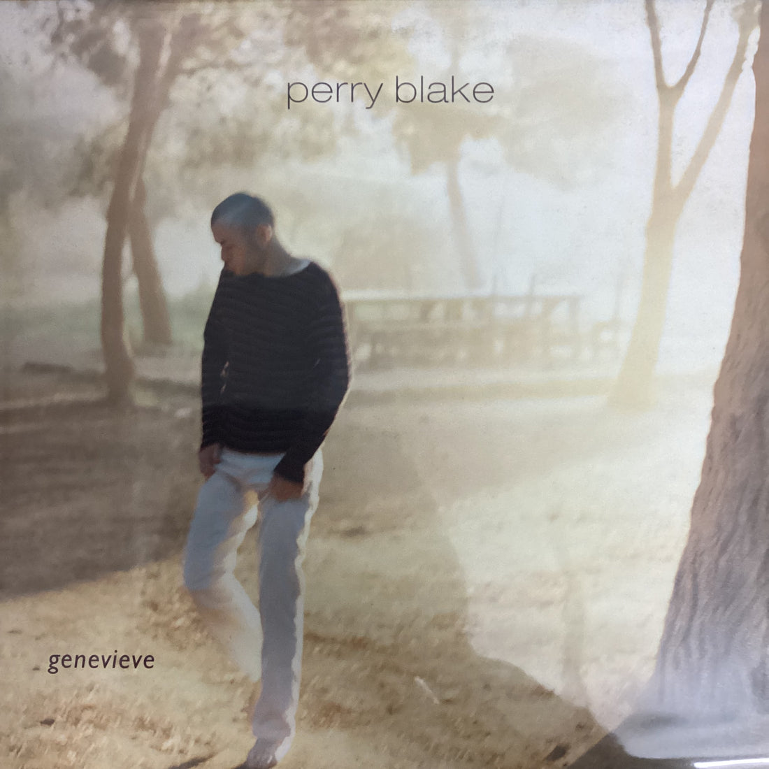 แผ่นเสียง Perry Blake - Genevieve The Pilot Of Your Thighs Vinyl VG+