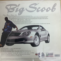 แผ่นเสียง Big Scoob - The Way They Go Vinyl VG+