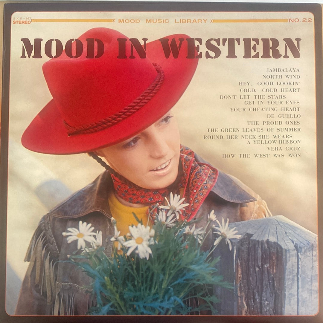 แผ่นเสียง Johnny West And Western Express = 演奏の - Mood In Western = ムード・イン・ウエスタン (Vinyl) (VG+)