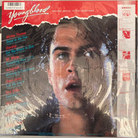 แผ่นเสียง Various - Youngblood Original Motion Picture Soundtrack Vinyl VG+